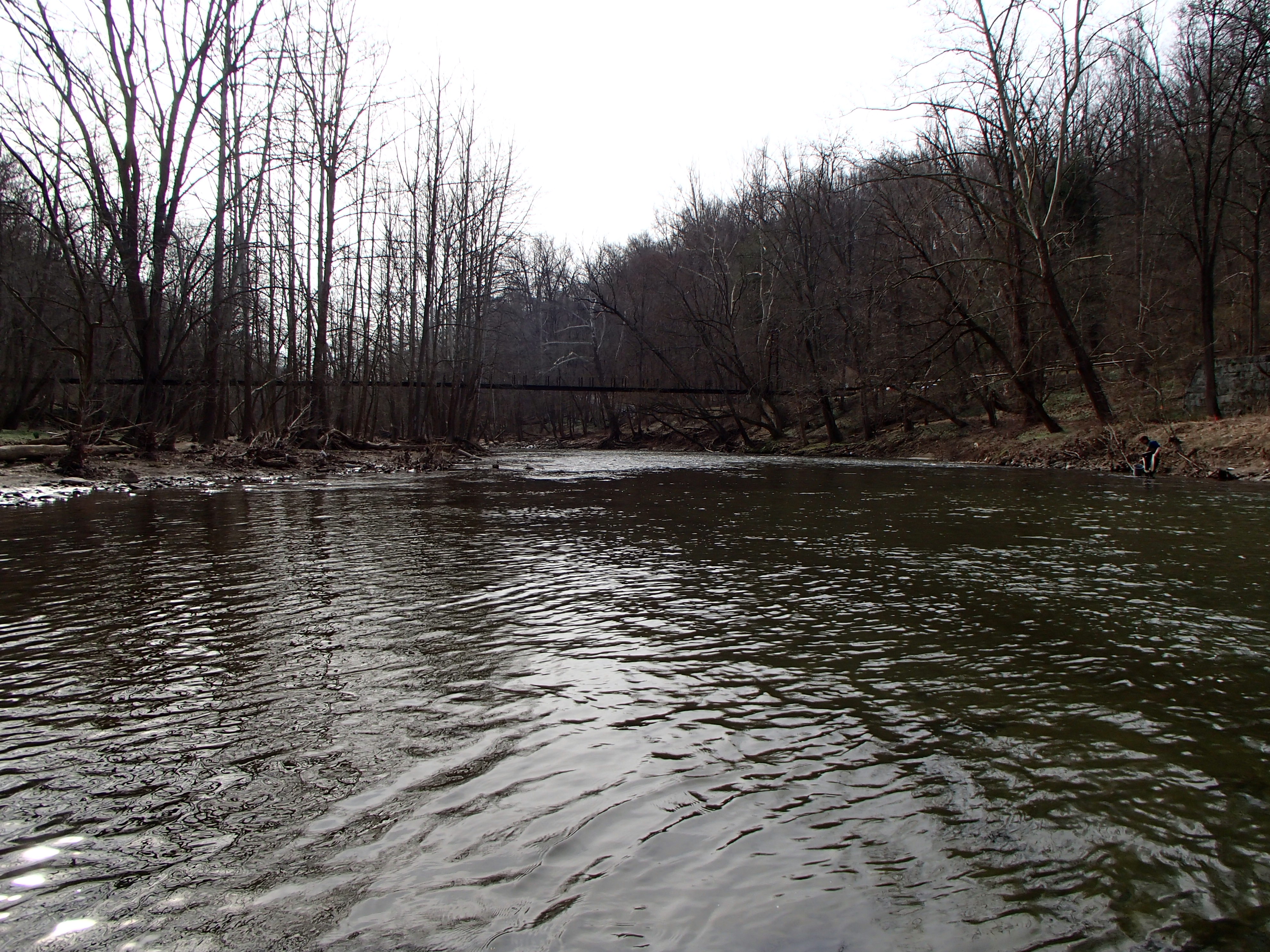 Field photo showing stream conditions at site PATL-501-X-2016_midpoint looking downstream